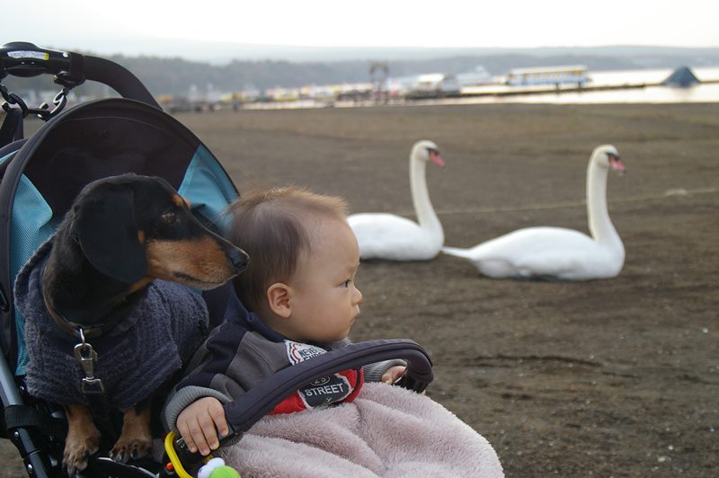 紋次郎と幼き日の息子くん