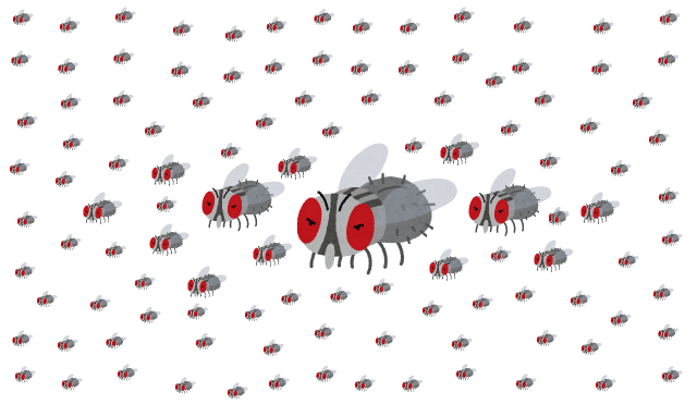 大量発生してしまったコバエを簡単に駆除する方法10選
